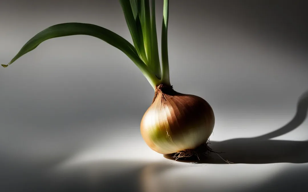 Biblical Meaning Of Onions In A Dream